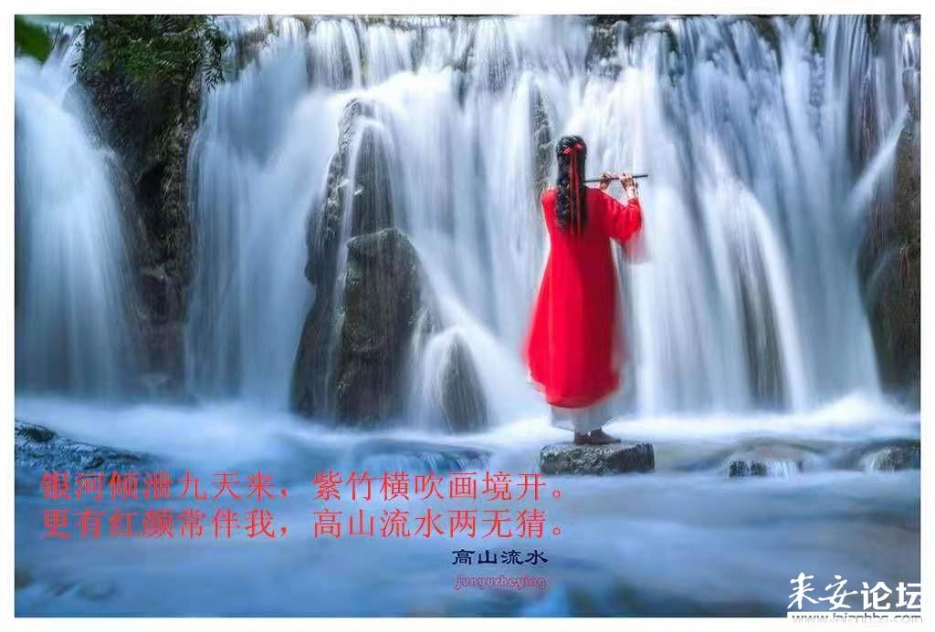 集邮者的收藏